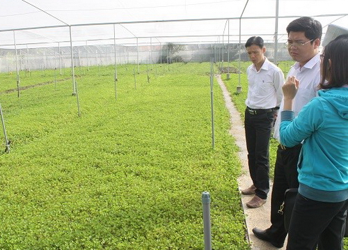 ham quan mô hình HTX nông nghiệp Phước Thịnh, huyện Cần Giuộc